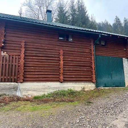 Mizhhirya  Farmstead Lisova 호스텔 외부 사진